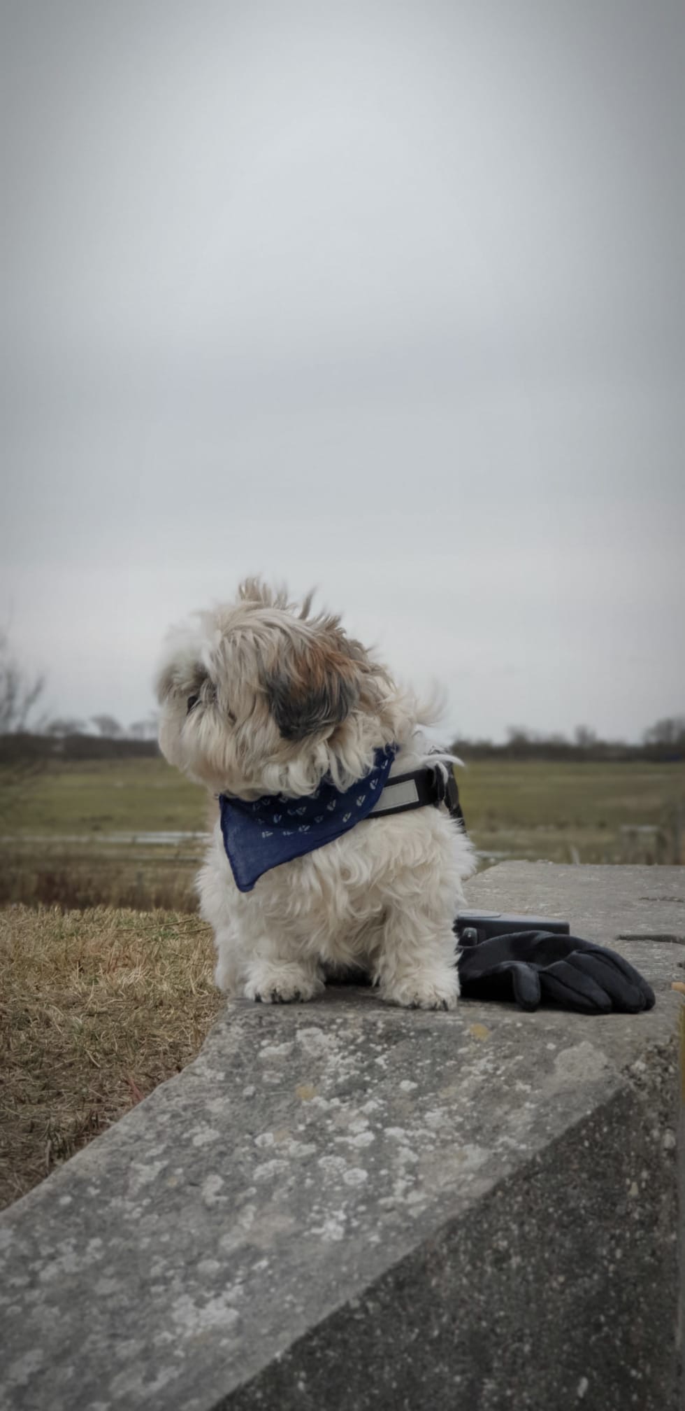 9d56b958 8b01 4fce a08c c6502ffac695 2